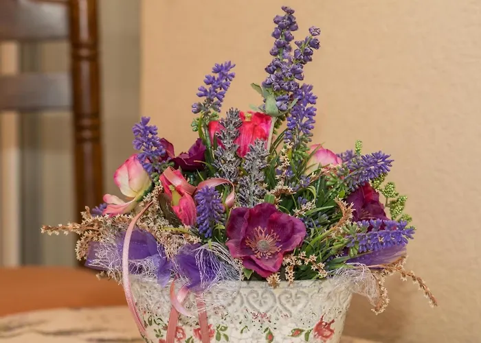 Silva Μακάρσκα