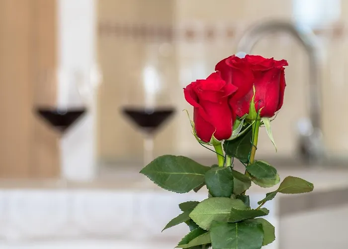 Silva Διαμέρισμα *